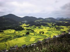 -牛街螺丝田
