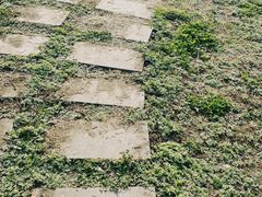 -桤木河湿地公园