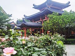 -广东花都湖国家湿地公园