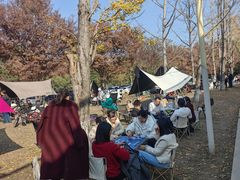 -白鹭湾湿地公园