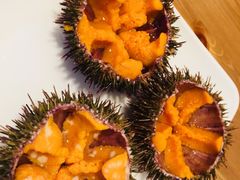 -海胆小馆(东北水饺·春柳店)