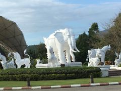 -清迈夜间动物园