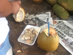 -仙本那小型鱼市