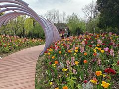 -上海鲜花港