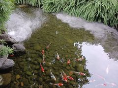 -泸州老窖景区