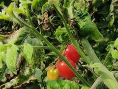 -兴芮温泉度假区