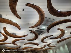 -第六季自助餐厅(北太平庄店)