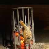 属于在广州找到本命端炉烧