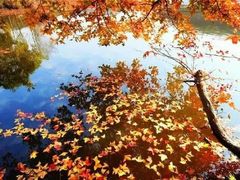 -南京市无想山景区