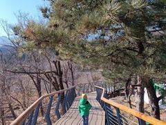 -白水寺森林公园