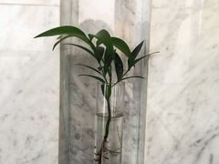 -宁波威斯汀酒店