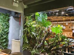 -森味薪火烧•烧鸟居酒屋•日本料理(望京店)