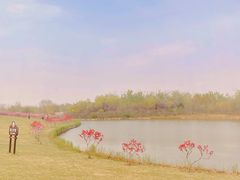 -塘沽森林公园