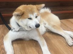 -YCHL Studios健身工作室(市二宫店)