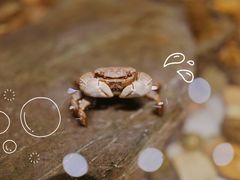 -上海怡沁园度假酒店