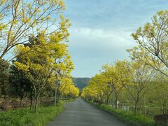 -帐篷客·溪龙茶谷度假酒店