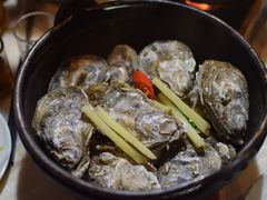 -九道菜有鸡鱼头(石鼓路店)