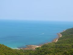 -杨梅坑