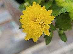 -星卡照相馆(奉贤百联店)