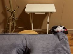 -静雅推拿(科院店)