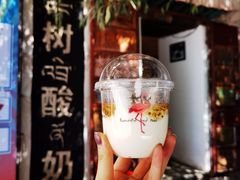 -古树酸奶(八廓南街店)