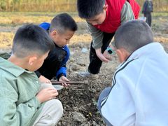 -新塘水果乐园(东洲大道店)