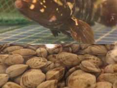 -三亚火车头万人海鲜广场