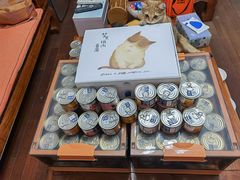 -东方名猫馆·英短金渐层布偶猫舍(环线广场1号楼店)