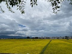 -喜林苑·稻田餐厅(品相府店)