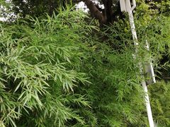 -成都凯宾斯基饭店