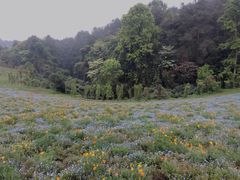 -保利石象湖景区