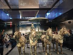 -秦始皇帝陵博物院-丽山园
