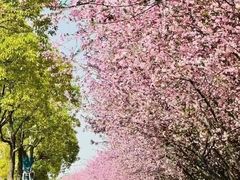 -百年尹氏汤包(湖南路狮子桥店)