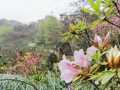 -重庆彩云湖湿地公园