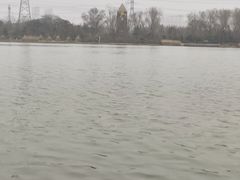 -昆山城市生态森林公园