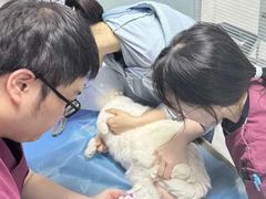 -纳吉亚猫专科动物诊疗中心(蒋宅口分院)