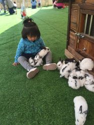 -萌宠亲子动物乐园(槐房万达店)