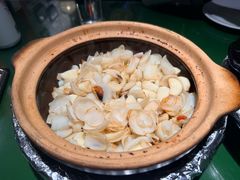 啫啫五年鲜百合-煲煲好(朝阳门店)