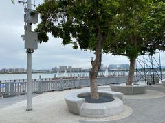 -八婆婆烧仙草(曾厝垵店)