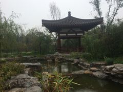 -武清南湖绿博园