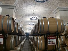 -北京张裕爱斐堡酒庄