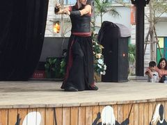 -灵玲国际马戏城
