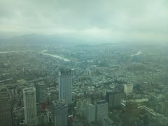 远眺台北-台北101