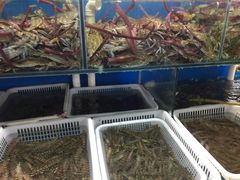 -四道口水产市场