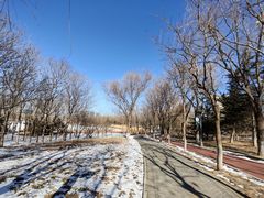 -大兴滨河森林公园