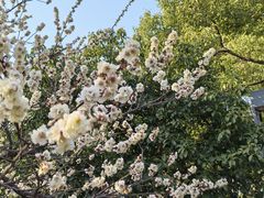 -蜀冈西峰生态公园