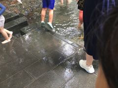 -成都市活水公园