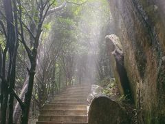 -阳台山森林公园