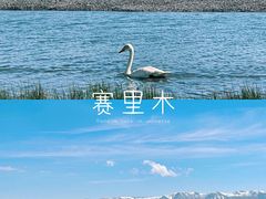 -赛里木湖风景名胜区