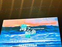 -交通银行前滩31演艺中心